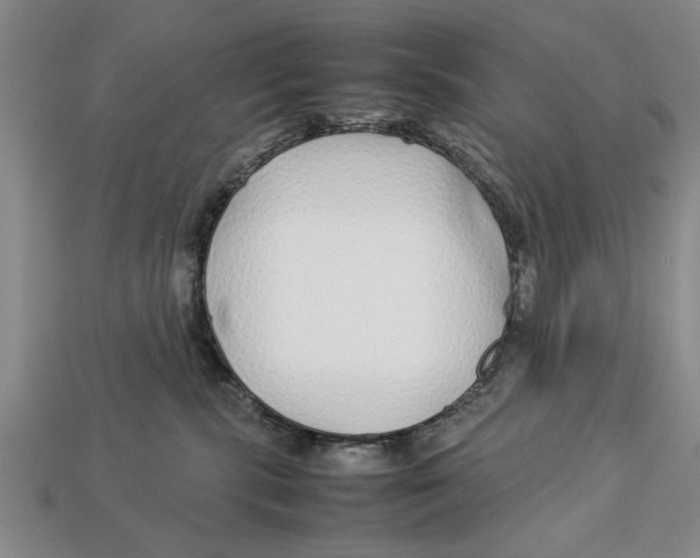X0000113010283200909241358