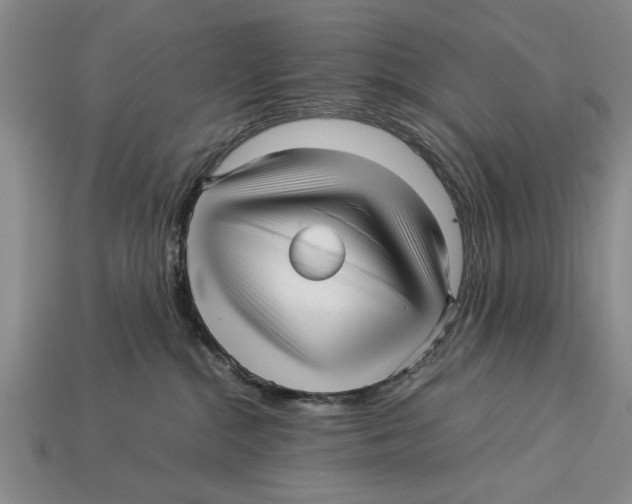 X0000113010284200909241358