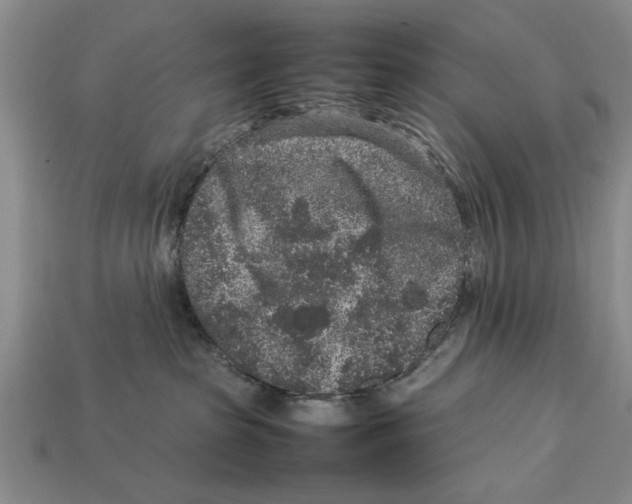 X0000113010285200909241358