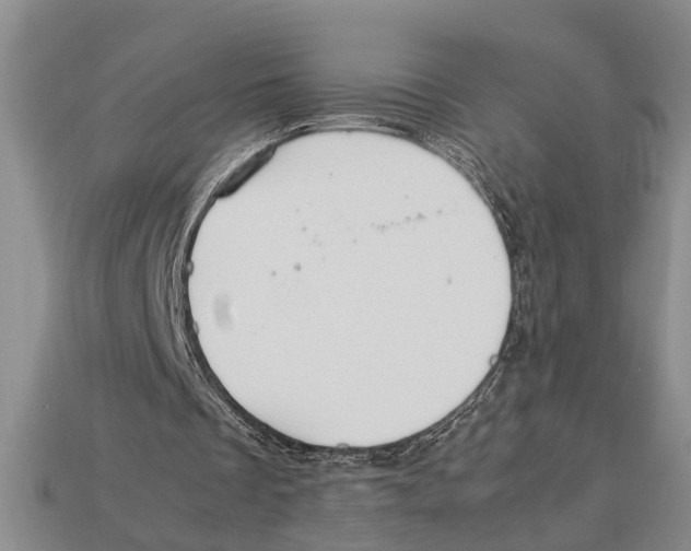X0000113010289200909241358