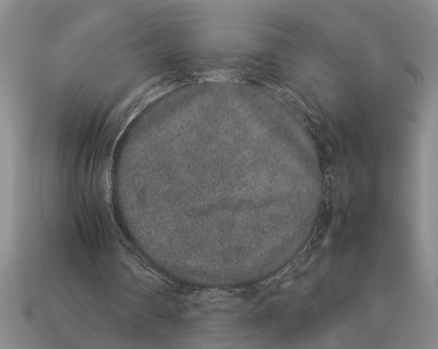 X0000113010290200909241358