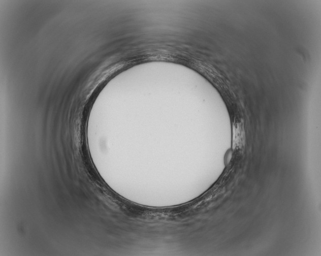 X0000113010291200909241358