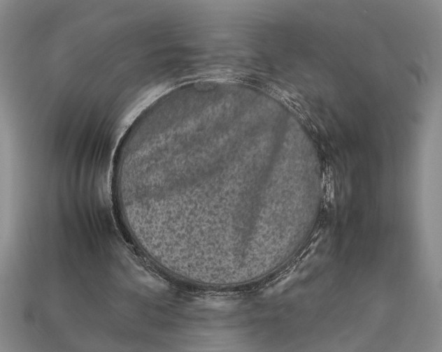X0000113010292200909241358