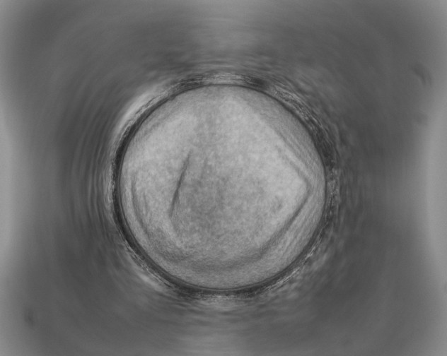 X0000113010293200909241358