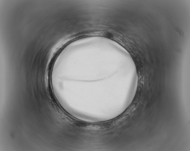 X0000113010294200909241358
