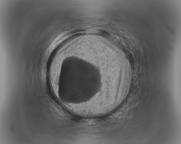 X0000113010295200909241358