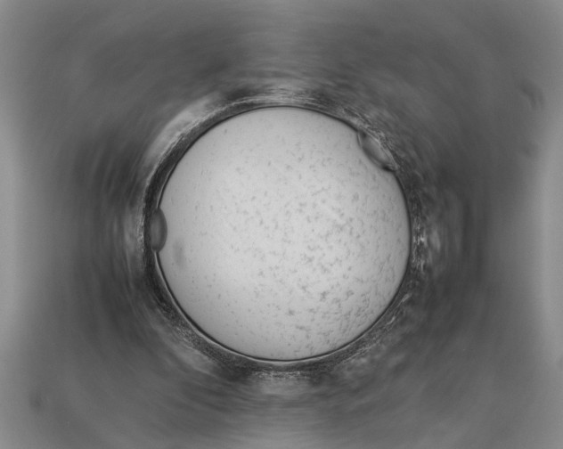 X0000113010296200909241358