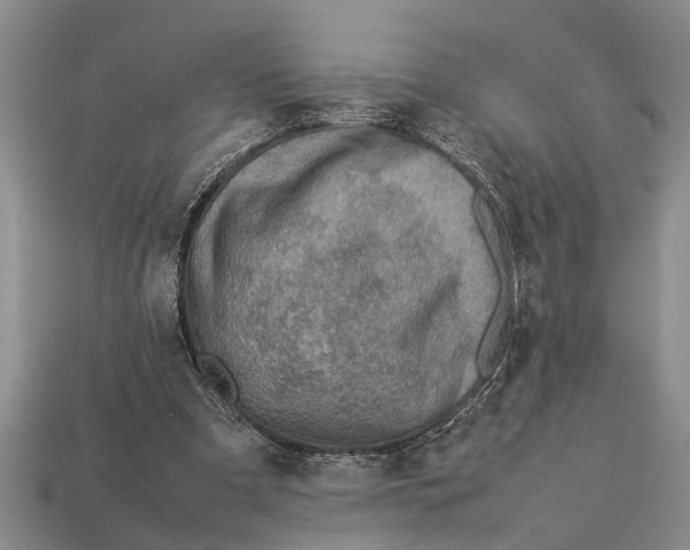 X0000113010297200909241358