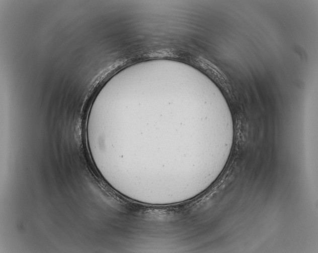 X0000113010298200909241358