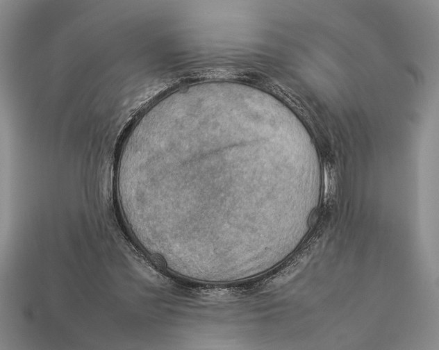 X0000113010301200909241358