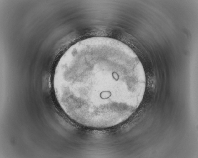 X0000113010302200909241358