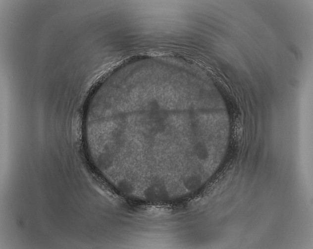 X0000113010303200909241358