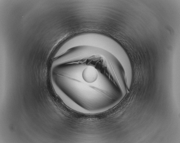 X0000113010304200909241358