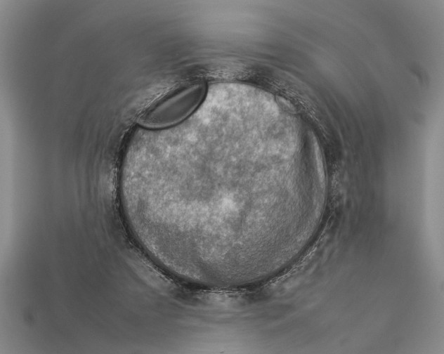 X0000113010305200909241358