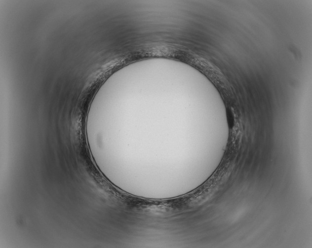 X0000113010306200909241358