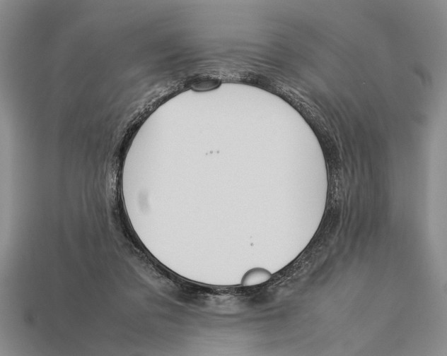 X0000113010309200909241358