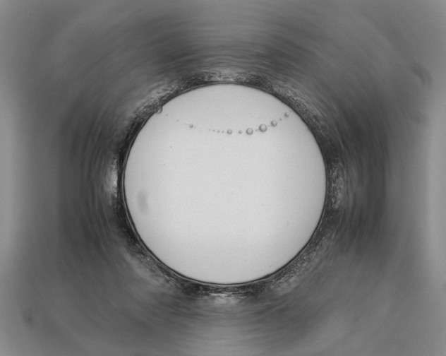 X0000113010310200909241358