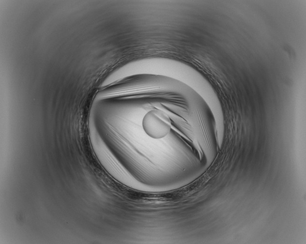X0000113010316200909241358