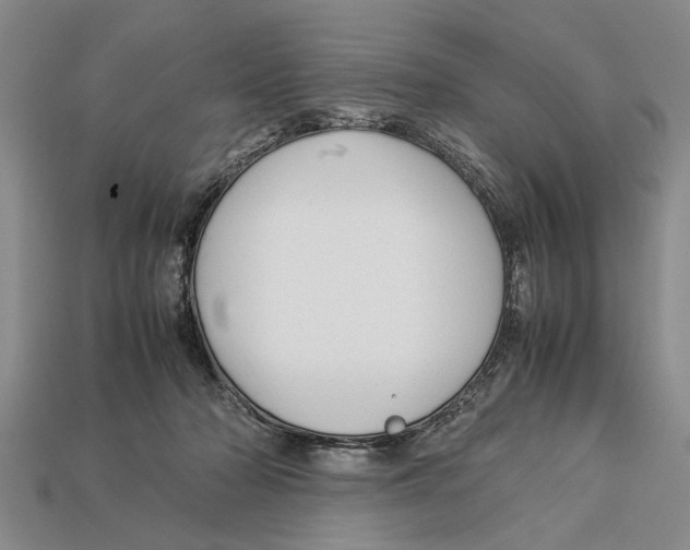X0000113010318200909241357