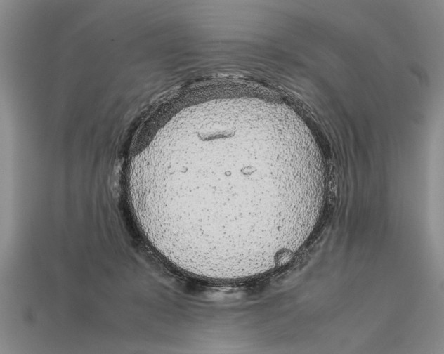 X0000113010319200909241357
