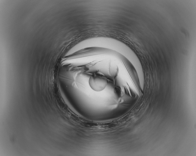 X0000113010320200909241357