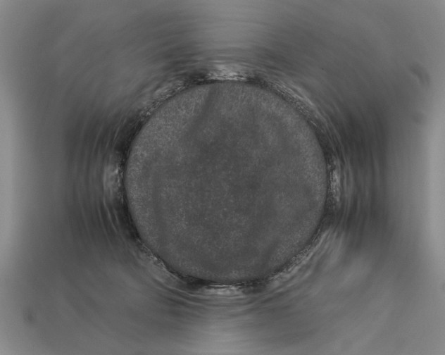 X0000113010322200909241357