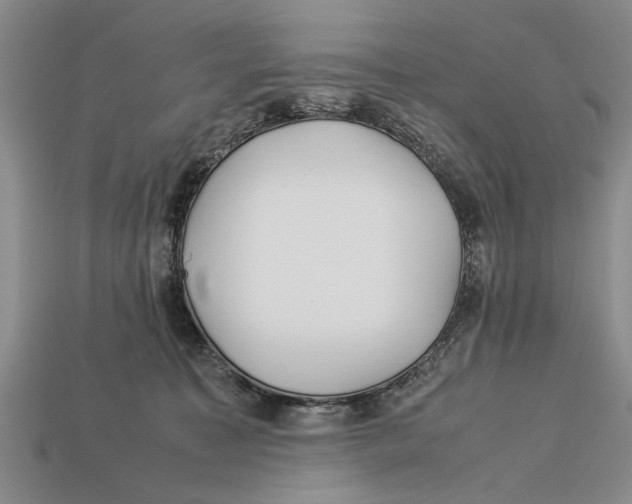 X0000113010323200909241357