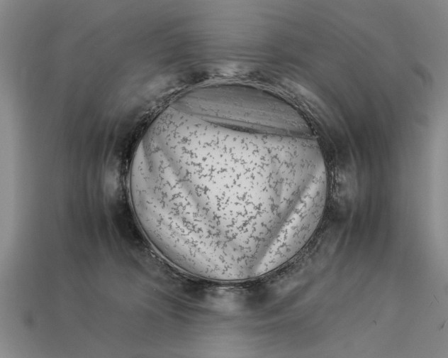 X0000113010324200909241357