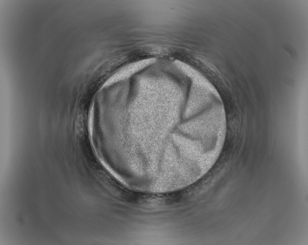X0000113010325200909241357