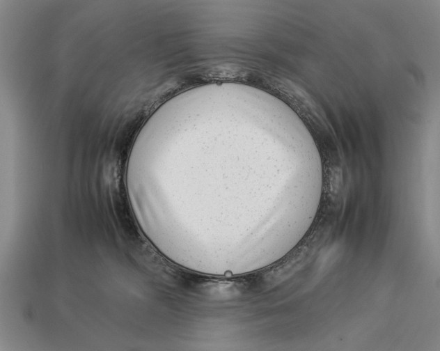 X0000113010326200909241357