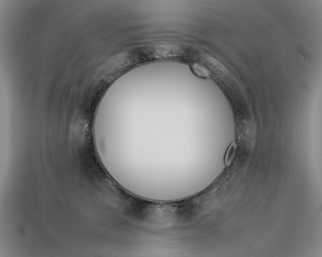 X0000113010327200909241357
