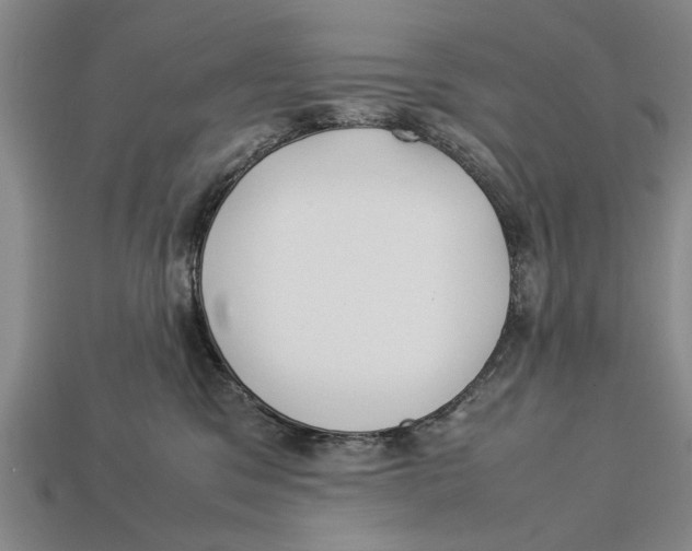 X0000113010329200909241357