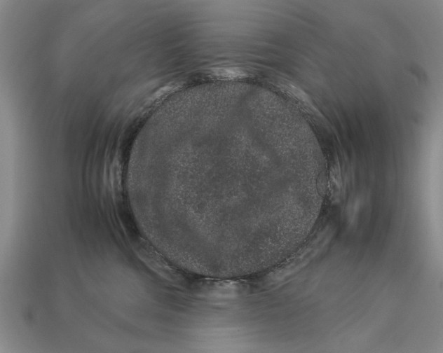 X0000113010330200909241357