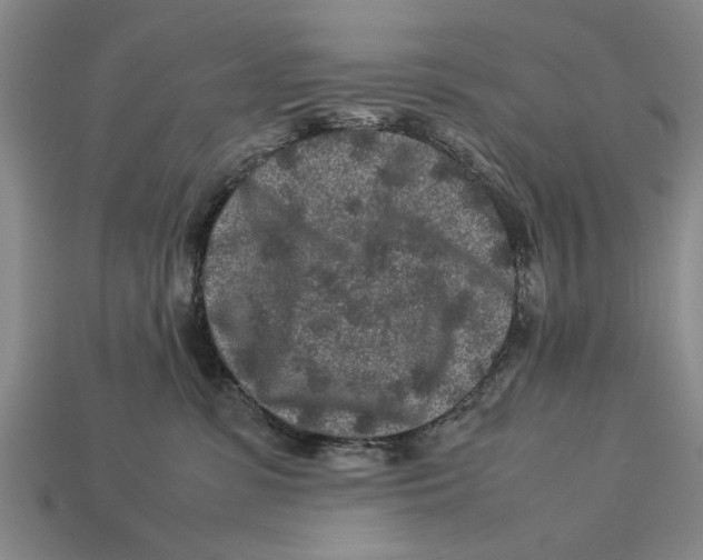 X0000113010331200909241357