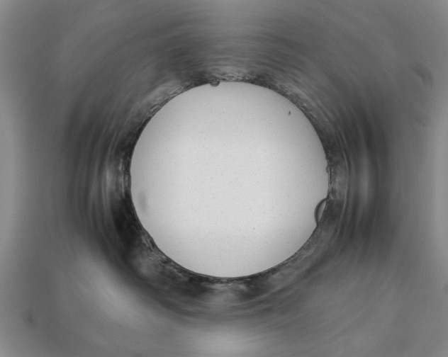 X0000113010334200909241357