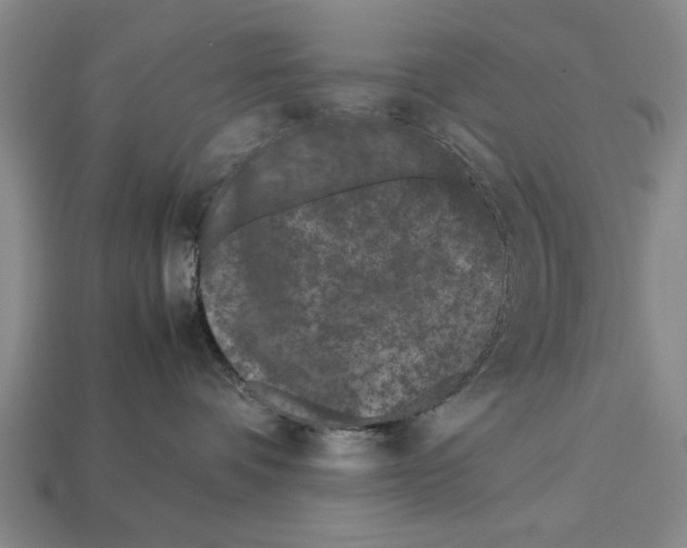 X0000113010336200909241357