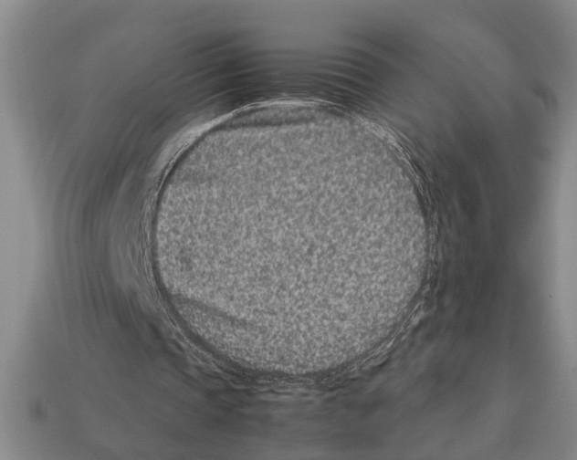 X0000113010337200909241357