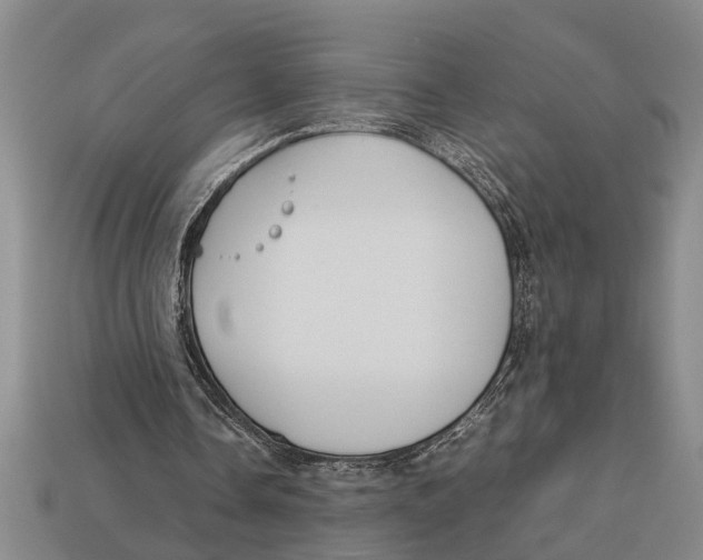 X0000113010338200909241357