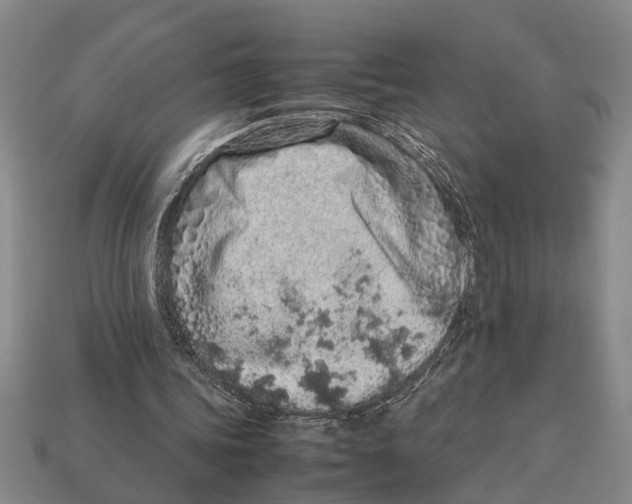 X0000113010339200909241357