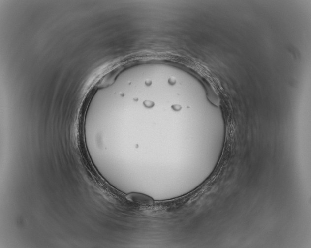 X0000113010340200909241357
