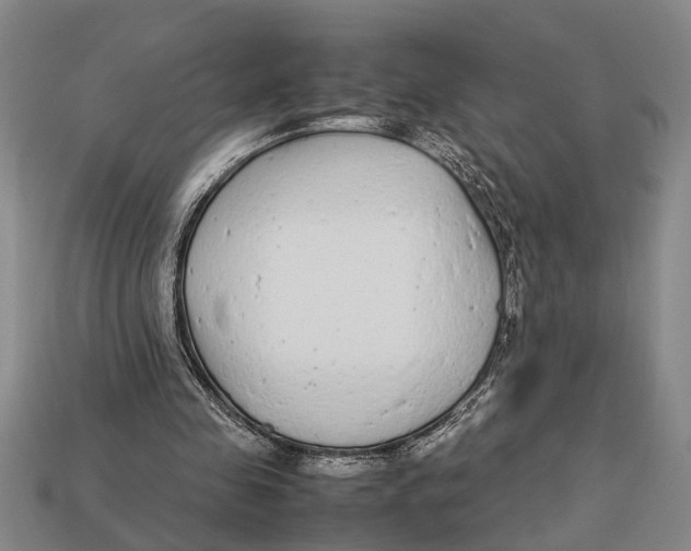 X0000113010341200909241357