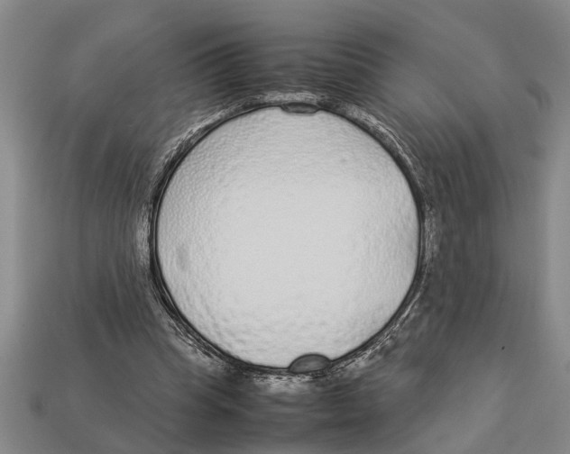 X0000113010345200909241357
