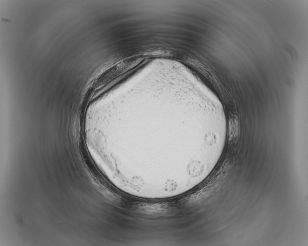 X0000113010349200909241357