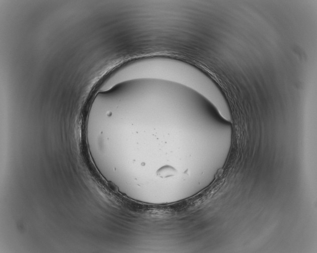 X0000113010350200909241357