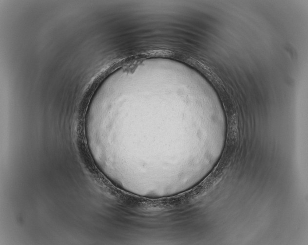 X0000113010351200909241357