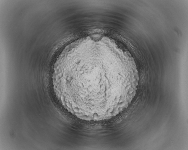 X0000113010353200909241357
