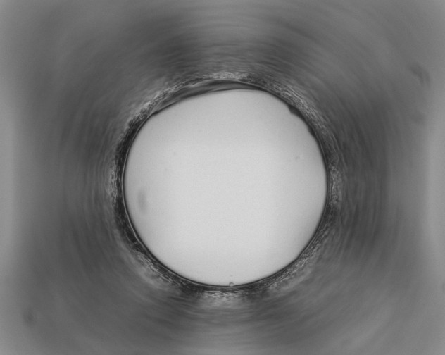 X0000113010354200909241357