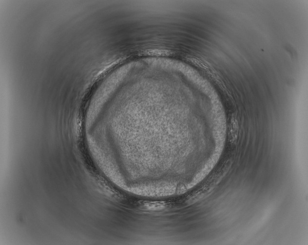 X0000113010355200909241357