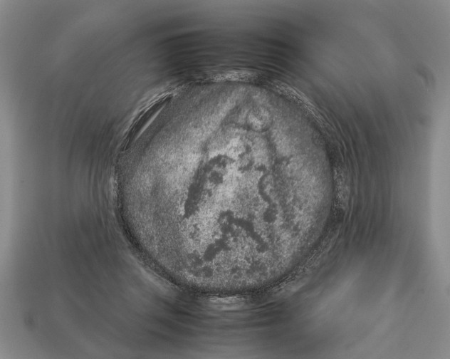 X0000113010357200909241357