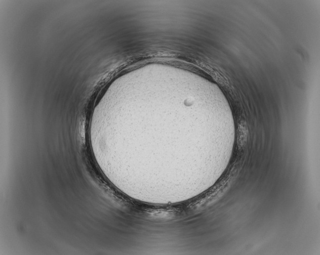X0000113010358200909241357